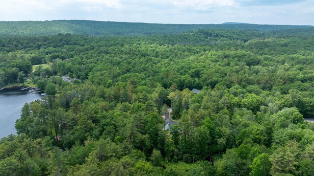 21 Westwood Rd, Gray, ME 04039 - photo 43