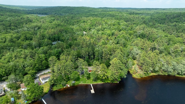 21 Westwood Rd, Gray, ME 04039 - photo 46
