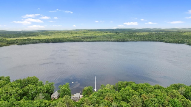 19 Davis Ln, Burnham, ME 04922 - water view with a forest