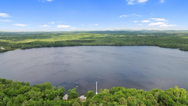 19 Davis Ln, Burnham, ME 04922 - drone / aerial view of a large body of water