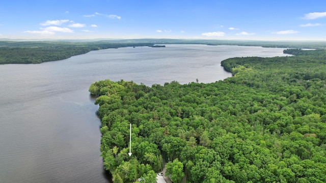 19 Davis Ln, Burnham, ME 04922 - drone / aerial view of a forest and a nearby body of water
