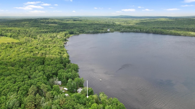 19 Davis Ln, Burnham, ME 04922 - aerial view of a heavily wooded area and a nearby body of water