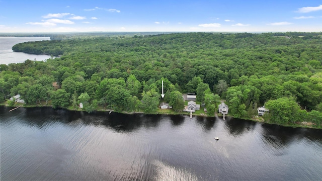 19 Davis Ln, Burnham, ME 04922 - bird's eye view of a forest and a nearby body of water