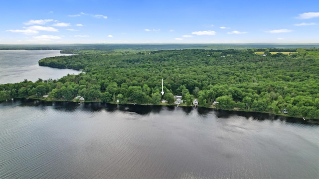 19 Davis Ln, Burnham, ME 04922 - bird's eye view of a forest and a large body of water