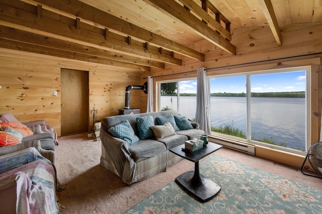 19 Davis Ln, Burnham, ME 04922 - living area featuring a wood stove, wood ceiling, carpet, baseboard heating, and wooden walls