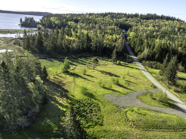 LOT20.1 Smokehouse Rd, Trescott Twp, ME 04652