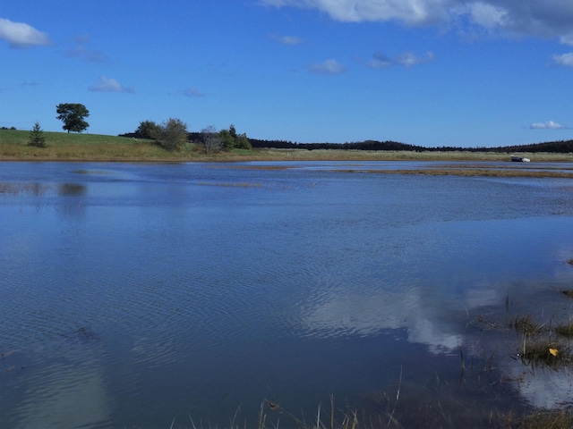LOT20.1 Smokehouse Rd, Trescott Twp, ME 04652