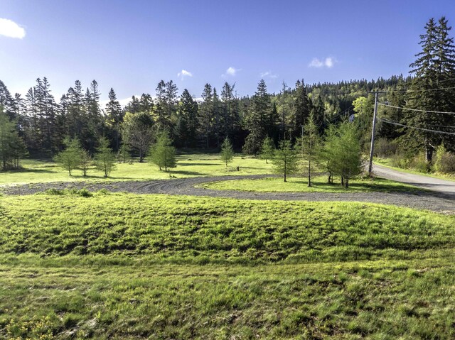 LOT20.1 Smokehouse Rd, Trescott Twp, ME 04652