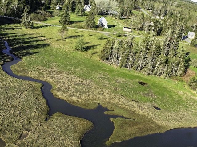 LOT20.1 Smokehouse Rd, Trescott Twp, ME 04652