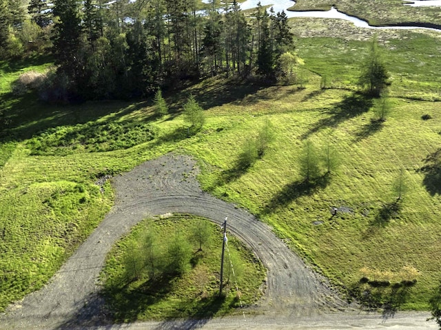 LOT20.1 Smokehouse Rd, Trescott Twp, ME 04652