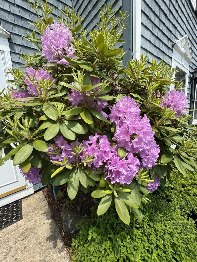 80 Baldwin Dr Unit 80, Bangor, ME 04401 - photo 45