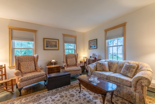6 Paddy Ln, Franklin, ME 04634 - living room featuring wood finished floors