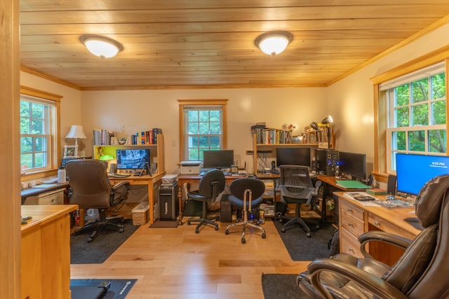 6 Paddy Ln, Franklin, ME 04634 - home office featuring crown molding, plenty of natural light, wood finished floors, and wood ceiling