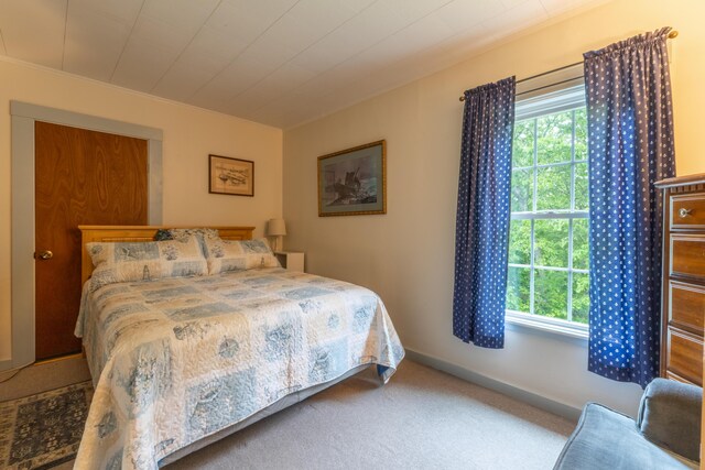 6 Paddy Ln, Franklin, ME 04634 - bedroom with multiple windows and carpet flooring