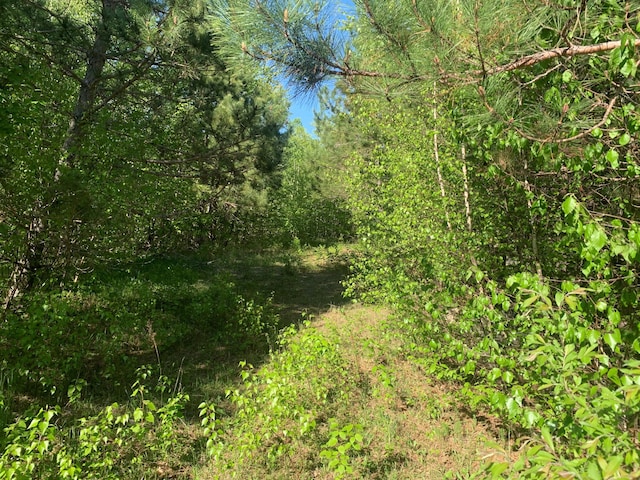 LOT24 Grand View Dr, Dedham, ME 04429