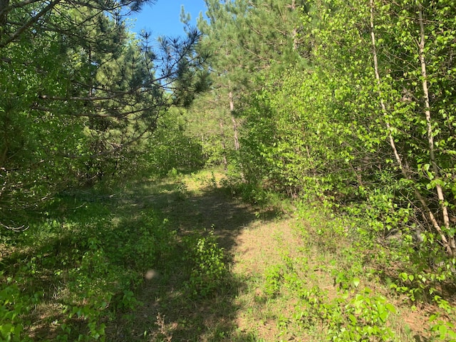 LOT24 Grand View Dr, Dedham, ME 04429