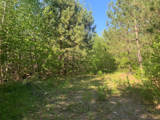 LOT24 Grand View Dr, Dedham, ME 04429