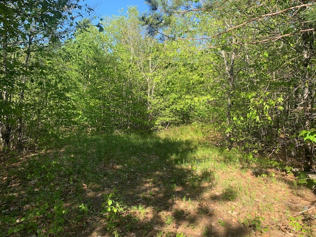 LOT24 Grand View Dr, Dedham, ME 04429