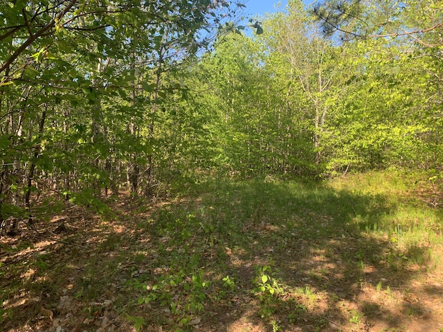 LOT24 Grand View Dr, Dedham, ME 04429