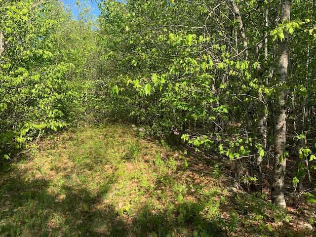 LOT24 Grand View Dr, Dedham, ME 04429