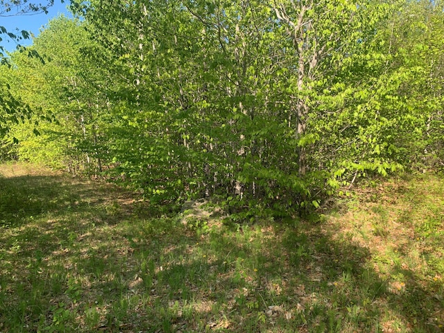 LOT24 Grand View Dr, Dedham, ME 04429