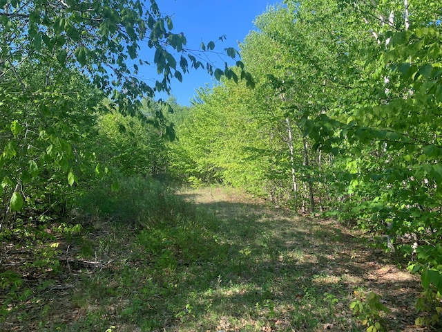 LOT24 Grand View Dr, Dedham, ME 04429