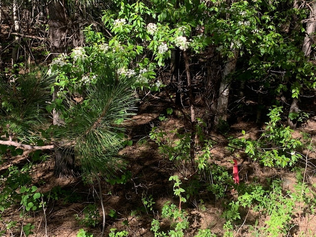 LOT24 Grand View Dr, Dedham, ME 04429