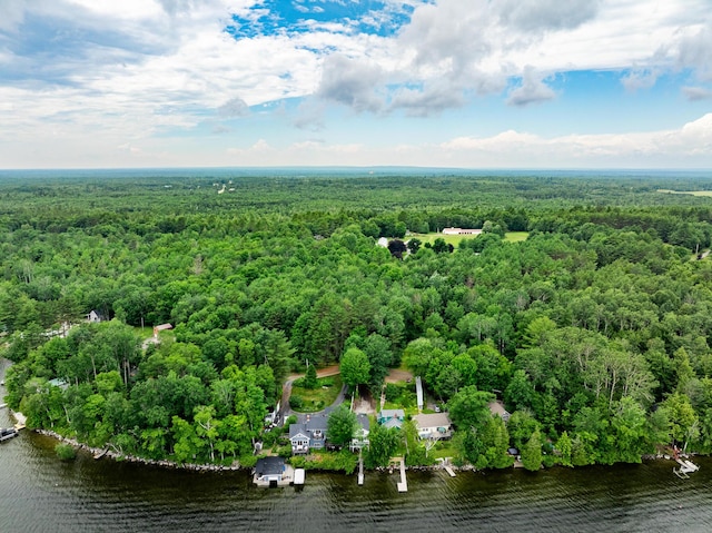 23 Page Rd, Enfield, ME 04493 - aerial view of a forest and a nearby body of water