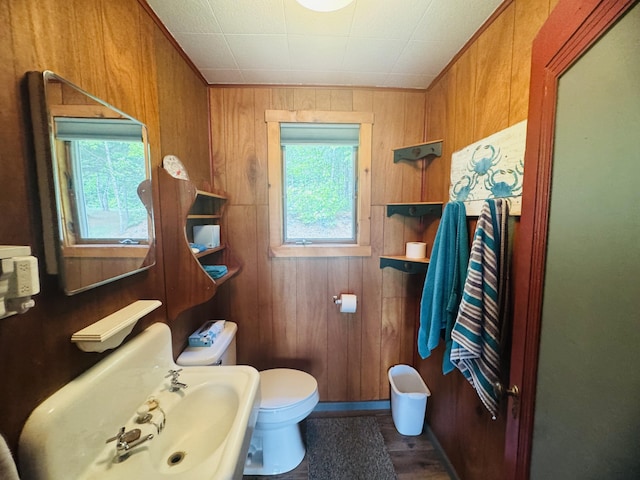 462 E Rd Unit T17 R3, Wels, ME 04785 - half bathroom featuring wood walls and wood finished floors