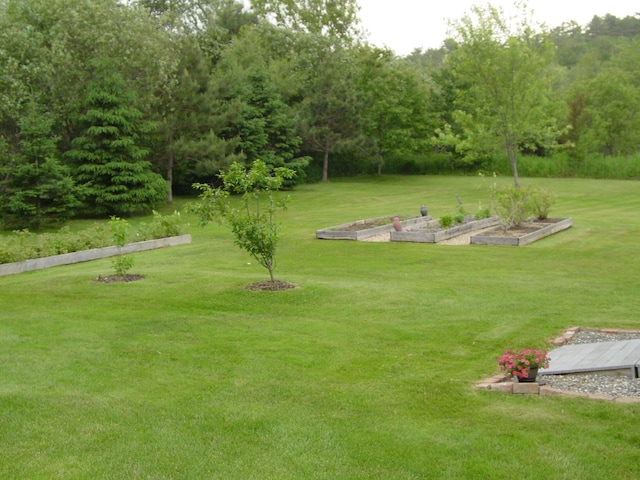 976 Essex St, Bangor, ME 04401 - view of green lawn featuring a vegetable garden
