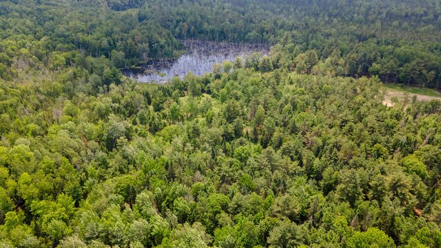 711 Stetson Rd, Exeter, ME 04435 - bird's eye view of a heavily wooded area and a large body of water