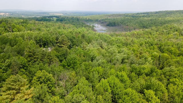 711 Stetson Rd, Exeter, ME 04435 - bird's eye view of a heavily wooded area