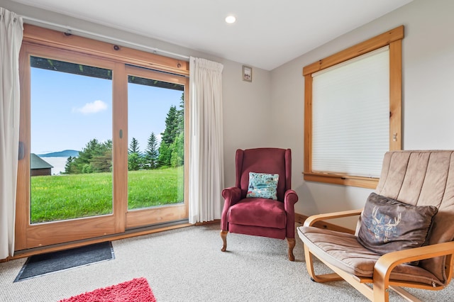 42 Whip Willow Farm Unit 17, Rangeley, ME 04970 - photo 23