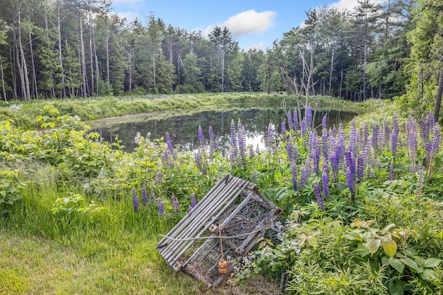 18 Frontier Way Unit 162, Arundel, ME 04046 - view of yard with a water view and a forest view