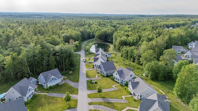 18 Frontier Way Unit 162, Arundel, ME 04046 - aerial view of property's location with a heavily wooded area and nearby suburban area
