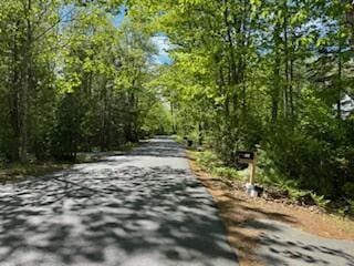 408 Chopps Cross Rd, Woolwich, ME 04579 - view of road with a wooded view