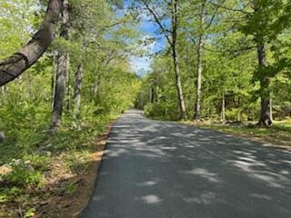 408 Chopps Cross Rd, Woolwich, ME 04579 - view of street