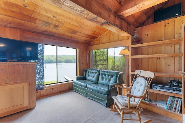 76 Colony Rd, Belgrade, ME 04917 - carpeted living room featuring wood ceiling and wood walls