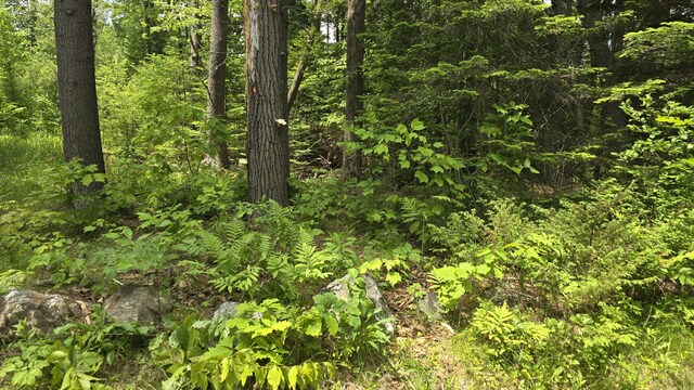 1 Pender Dr, Brunswick, ME 04011