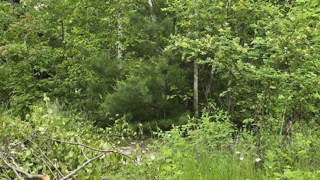 1 Pender Dr, Brunswick, ME 04011