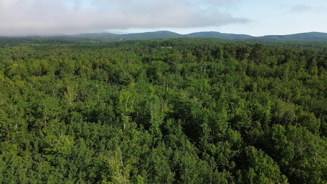 M4L19 Village Rd, Jackson, ME 04921
