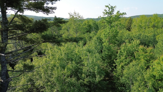 M4L19 Village Rd, Jackson, ME 04921