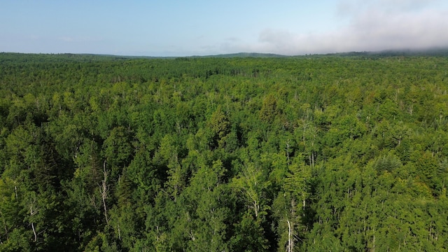 M4L19 Village Rd, Jackson, ME 04921