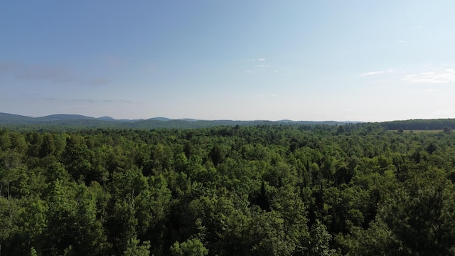 M4L19 Village Rd, Jackson, ME 04921
