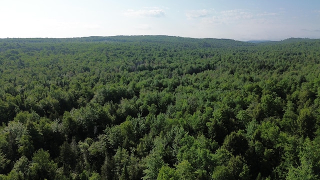 M4L19 Village Rd, Jackson, ME 04921