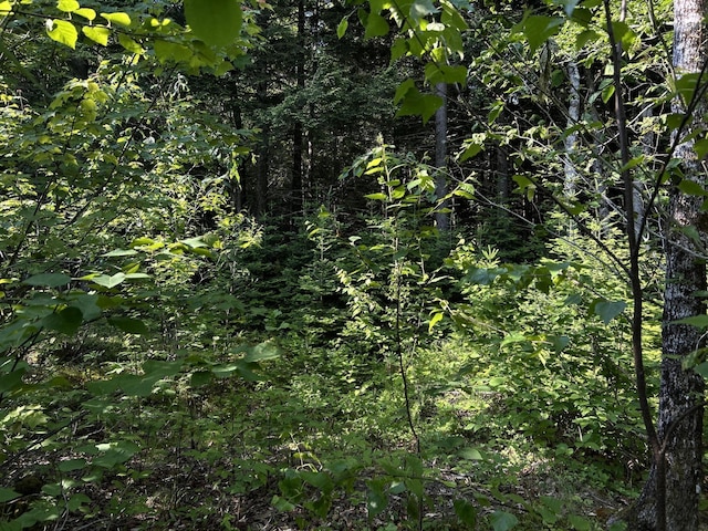 M4L19 Village Rd, Jackson, ME 04921