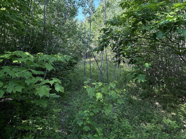 M4L19 Village Rd, Jackson, ME 04921