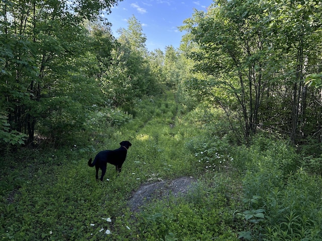 M4L19 Village Rd, Jackson, ME 04921