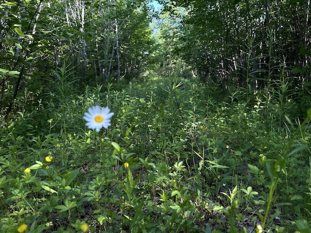 M4L19 Village Rd, Jackson, ME 04921