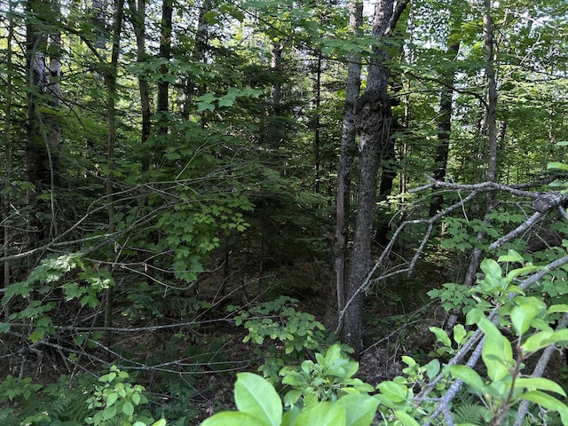 M4L19 Village Rd, Jackson, ME 04921
